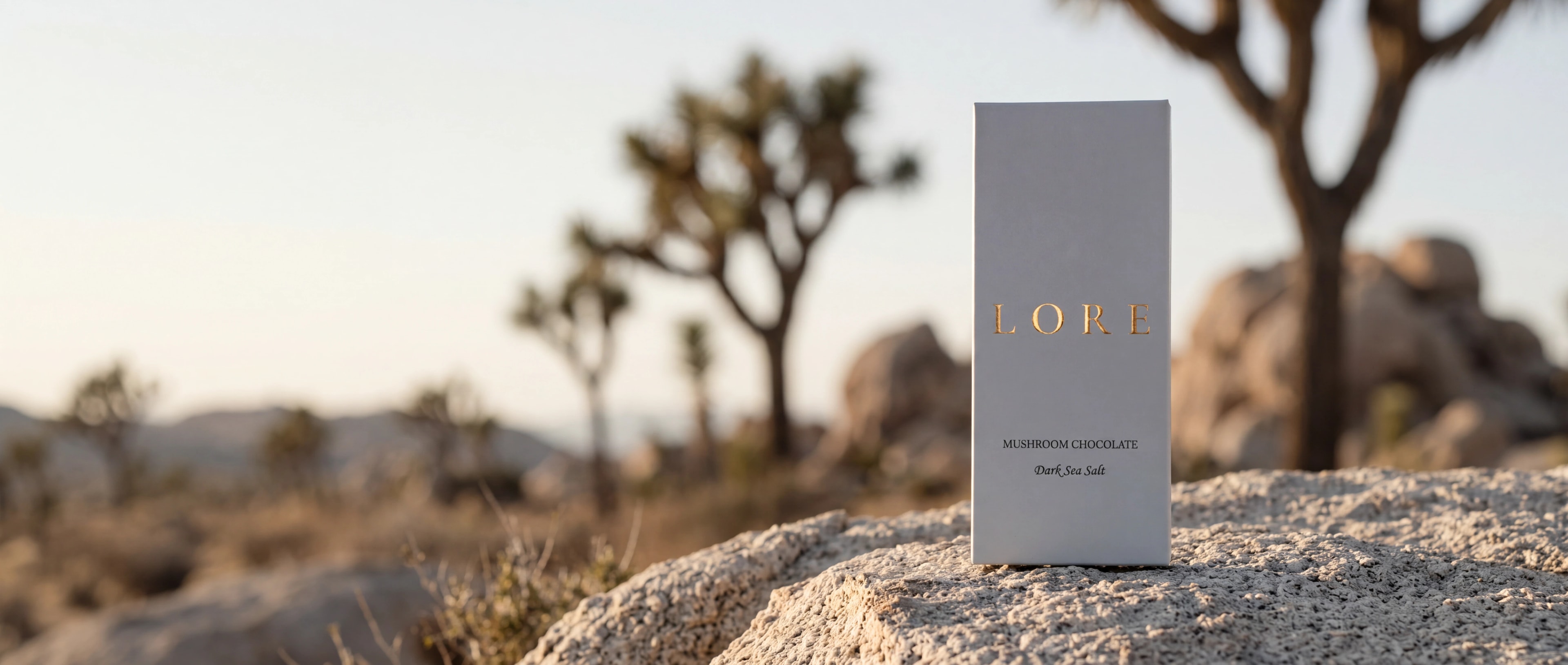 LORE bar standing on weathered granite at sunrise in Joshua Tree